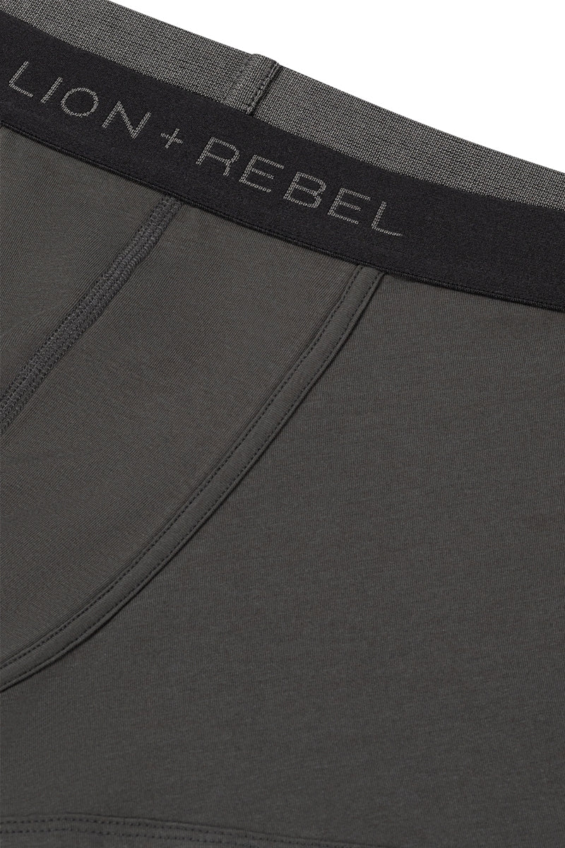 Boxer Briefs | Earth Grey